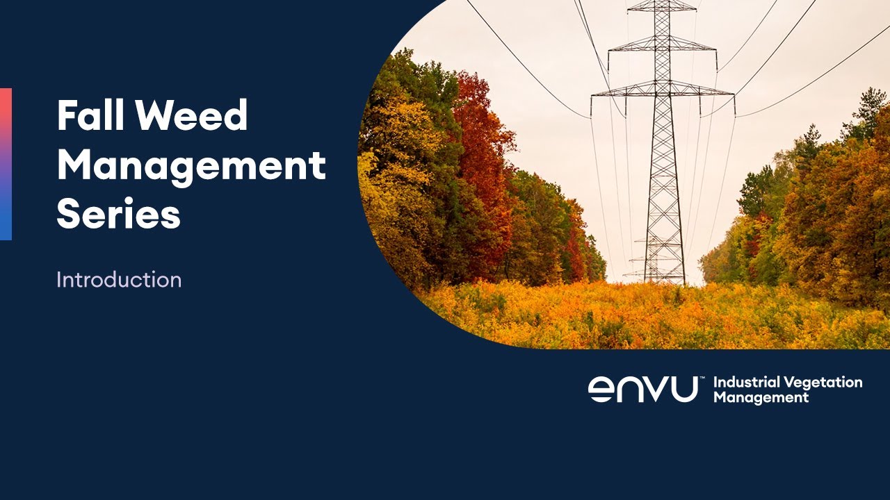 Fall weed management series introduction. Yellow, red, and green trees surround a transmission tower. 